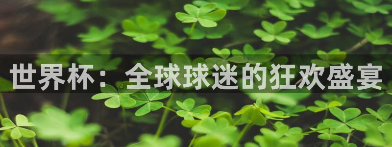 世界杯：全球球迷的狂欢盛宴