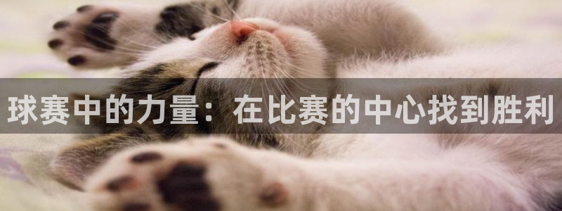 球赛中的力量：在比赛的中心找到胜利
