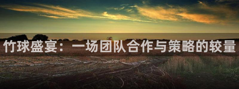 好博体育app官网最新版本更新内容：竹球盛宴：一场团队合作与