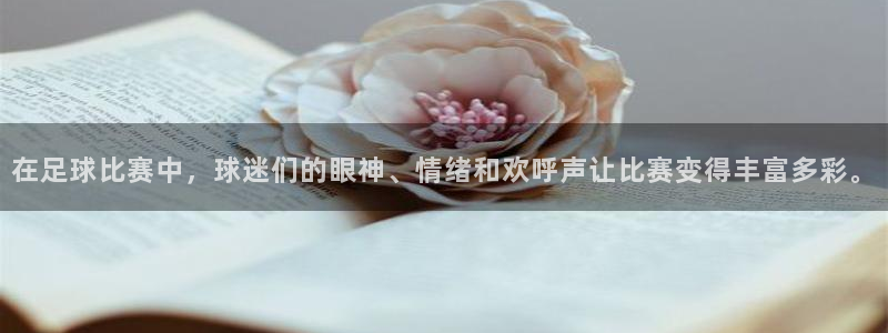 好博体育平台正规嘛安全吗：在足球比赛中，球迷们的眼神、情绪和