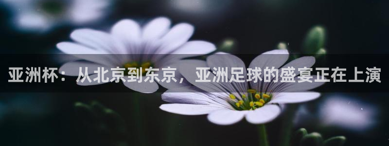 好博体育官网入口：亚洲杯：从北京到东京，亚洲足球的盛宴正在上