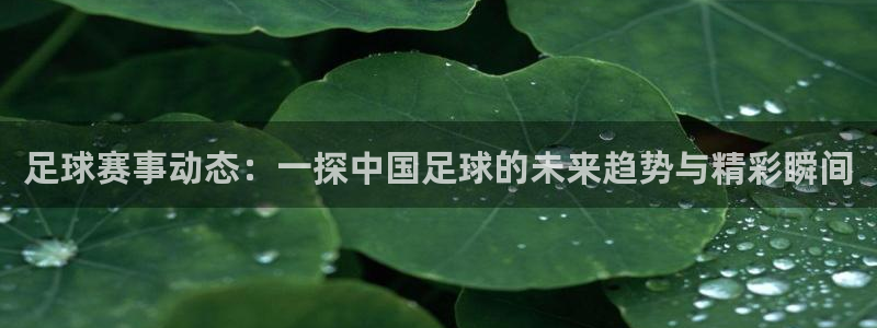 好博体育娱乐平台：足球赛事动态：一探中国足球的未来趋势与精彩