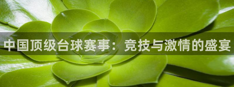 好博体育娱乐平台：中国顶级台球赛事：竞技与激情的盛宴