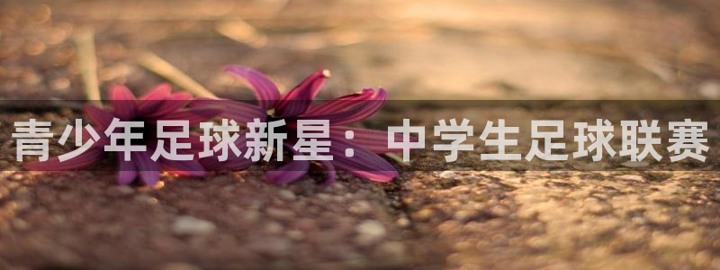 好博体育取钱能出来吗：青少年足球新星：中学生足球联赛