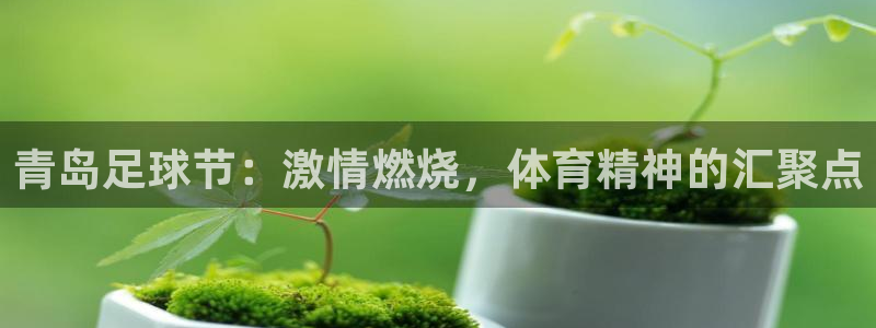 好博体育app下载最新官网入口：青岛足球节：激情燃烧，体育精